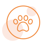 動物版權(quán)登記