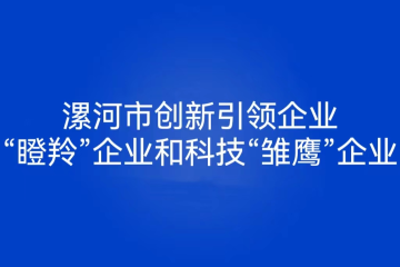 2022年漯河市創(chuàng)新引領型企業(yè)政策