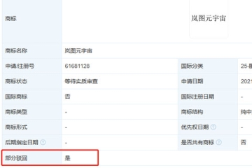 東風(fēng)汽車集團(tuán)有限公司申請(qǐng)“嵐圖元宇宙”商標(biāo)被駁回