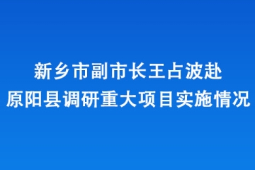 新鄉(xiāng)市副市長(zhǎng)王占波赴原陽縣調(diào)研重大項(xiàng)目實(shí)施情況