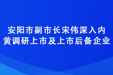 安陽(yáng)市副市長(zhǎng)宋偉深入內(nèi)黃調(diào)研上市及上市后備企業(yè)