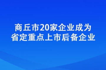 商丘市20家企業(yè)成為省定重點上市后備企業(yè)