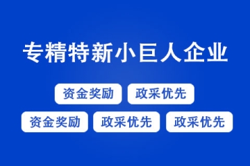 專精特新企業(yè)的認定標準是什么？