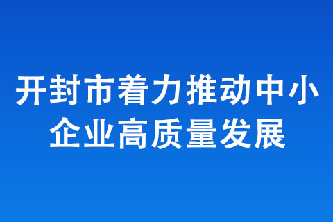 開封市著力推動(dòng)中小企業(yè)高質(zhì)量發(fā)展