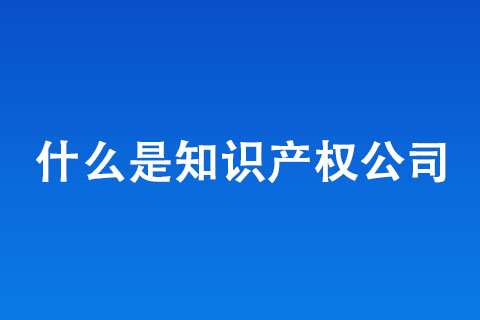 什么是知識產(chǎn)權公司