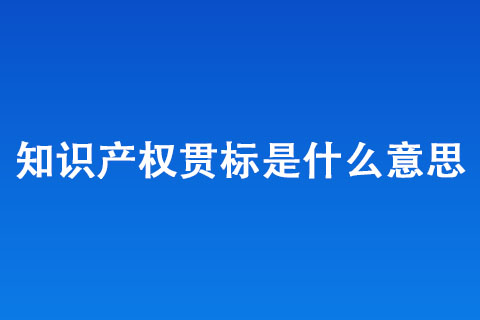 知識(shí)產(chǎn)權(quán)貫標(biāo)有什么用