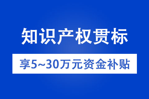 濟(jì)源知識產(chǎn)權(quán)貫標(biāo)申報條件
