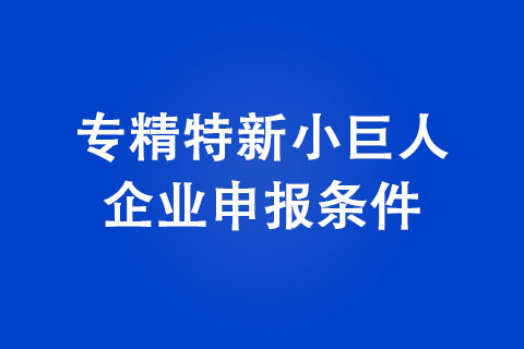 2022年平頂山市專精特新小巨人企業(yè)申報條件