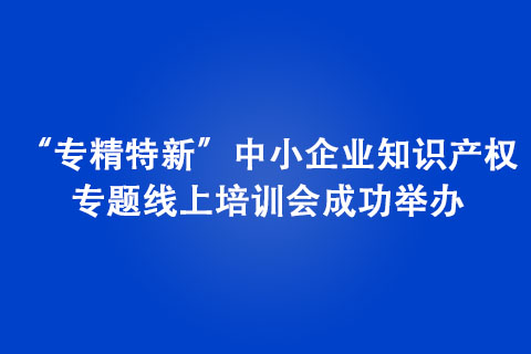 “專(zhuān)精特新”中小企業(yè)知識(shí)產(chǎn)權(quán)專(zhuān)題線(xiàn)上培訓(xùn)會(huì)成功舉辦
