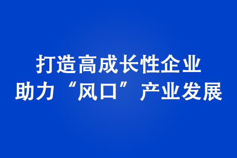 打造高成長性企業(yè) 助力“風口”產(chǎn)業(yè)發(fā)展