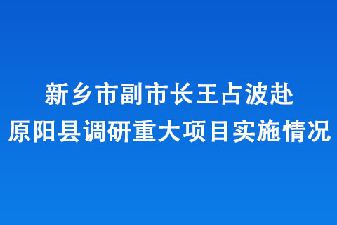 新鄉(xiāng)市副市長王占波赴原陽縣調(diào)研重大項目實施情況