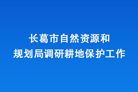長葛市自然資源和規(guī)劃局調(diào)研耕地保護工作