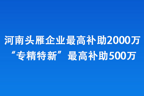 河南頭雁企業(yè)最高補(bǔ)助2000萬(wàn)、“專精特新”最高補(bǔ)助500萬(wàn) 
