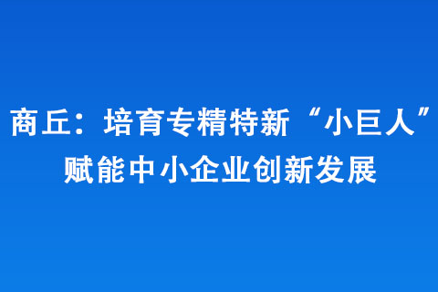 商丘：培育專(zhuān)精特新“小巨人” 賦能中小企業(yè)創(chuàng)新發(fā)展