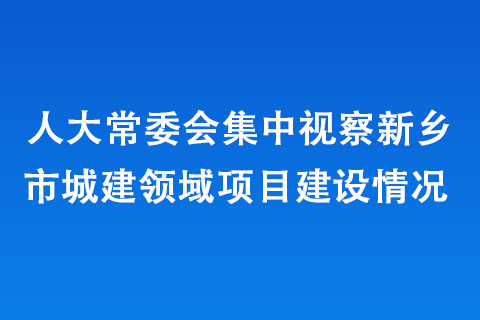 人大常委會集中視察新鄉(xiāng)市城建領(lǐng)域項目建設(shè)情況 