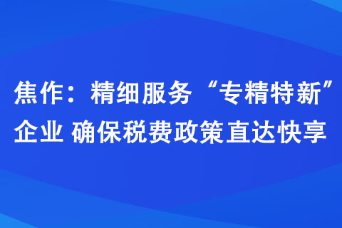 焦作：精細服務(wù)“專精特新”企業(yè) 確保稅費政策直達快享