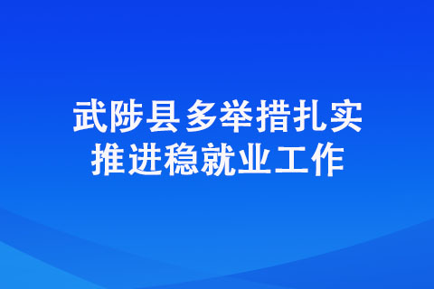 武陟縣多舉措扎實推進穩(wěn)就業(yè)工作