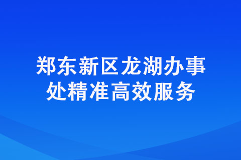 鄭東新區(qū)龍湖辦事處精準(zhǔn)高效服務(wù)