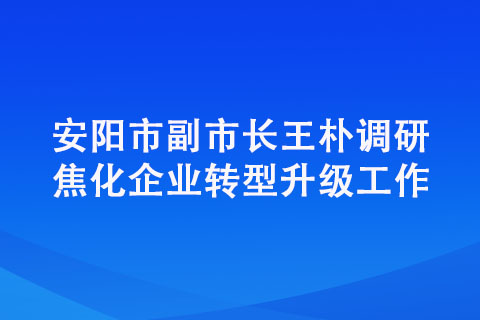 安陽市副市長王樸調(diào)研焦化企業(yè)轉(zhuǎn)型升級工作