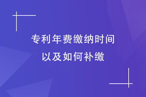 專(zhuān)利年費(fèi)繳納時(shí)間