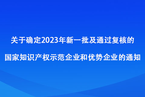 2023年新一批及通過復核的國家知識產(chǎn)權示范企業(yè)和優(yōu)勢企業(yè)名單