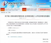 剛剛！國知局發(fā)布《商標(biāo)侵權(quán)判斷標(biāo)準(zhǔn) (征求意見稿)》全文
